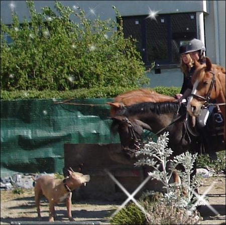 Folklor & Bonnie